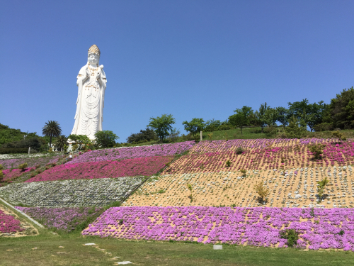 小豆島大観音佛歯寺 花畑