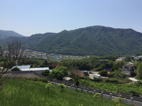 小豆島大観音佛歯寺 花畑