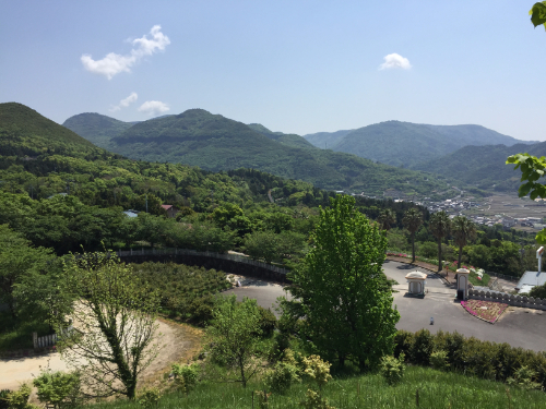 小豆島大観音佛歯寺 花畑