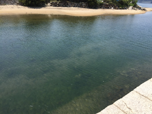 大坂城残石記念公園