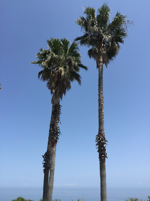 瀬戸内海国立公園 小豆島・南風台