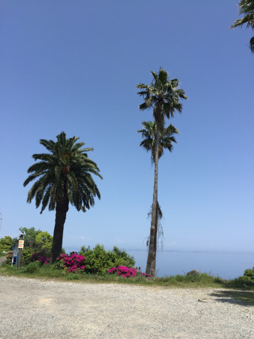 瀬戸内海国立公園 小豆島・南風台