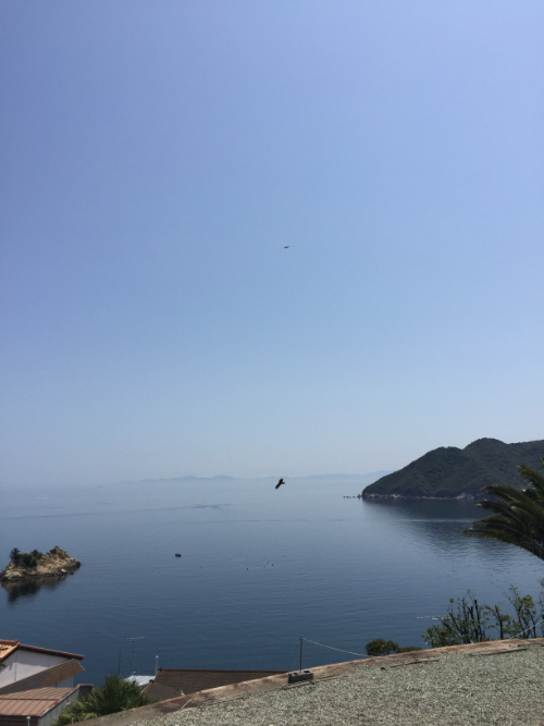 瀬戸内海国立公園 小豆島・南風台
