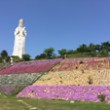 小豆島大観音 アイコン