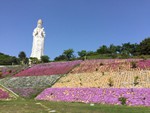 2015 GW 小豆島日帰り旅行 〜その2〜 小豆島大観音を見にきた