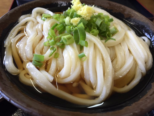 うどんの田（でん） かけうどん