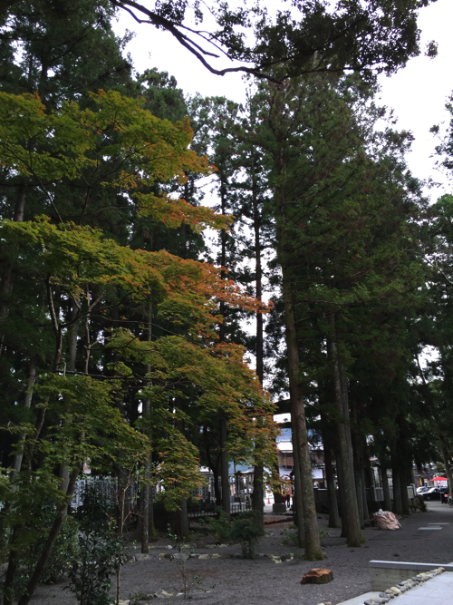 熊野本宮大社