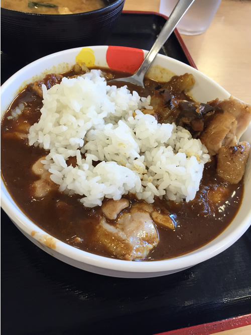 ごろごろチキンカレー