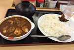 巷で話題の松屋ごろごろチキンカレーを食べてきた