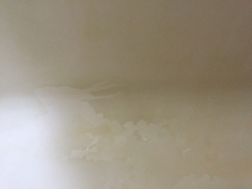 浴槽 カビ 湯垢 石けんカス